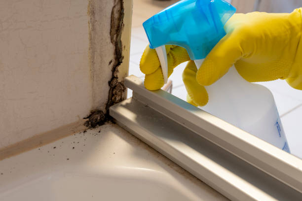 Best Residential Mold Removal  in Culloden, WV