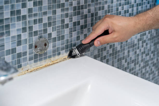 Best Mold Remediation Experts  in Culloden, WV